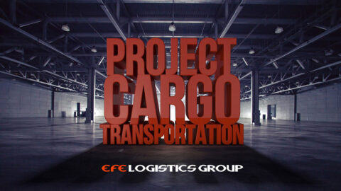 Efe Logistics Group